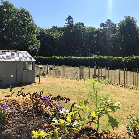 Laundry Cottage Dumfries Extérieur photo